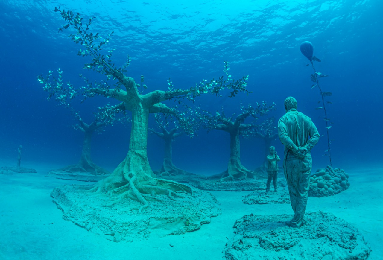 מוזיאון הפיסול התת-ימי איה נאפה  הוא בעצם ״יער מתחת למים״, המורכב מיותר מ -93 יצירות אמנות, חלקן בצורת עצי זית...