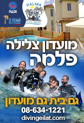 פלמה ריזורט 
